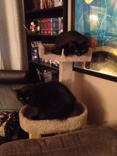 jack and jill