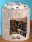 cat trees for sale ottawa